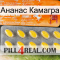 Ананас Камагра new05